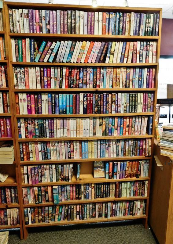 Bookstore paperback bookshelves