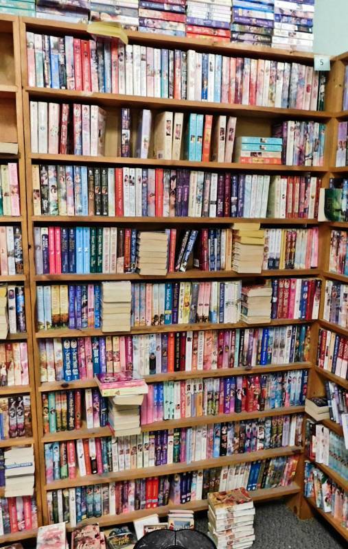 Bookstore paperback bookshelves