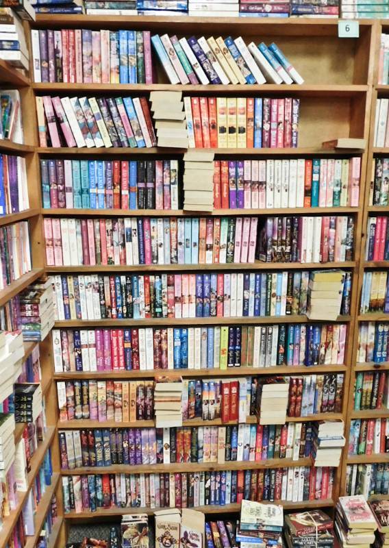 Bookstore paperback bookshelves