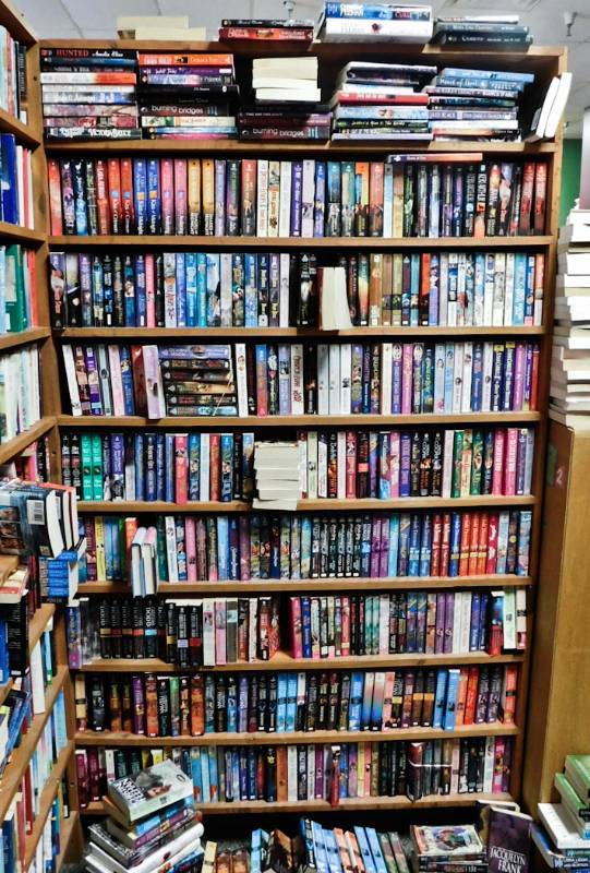 Bookstore paperback bookshelves