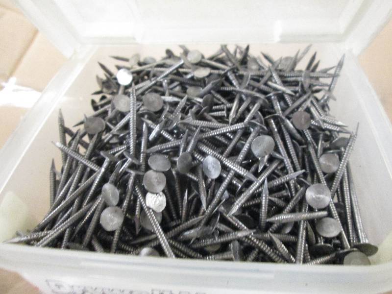 lot 141 image: 2 5lb containers ring shank bright ...