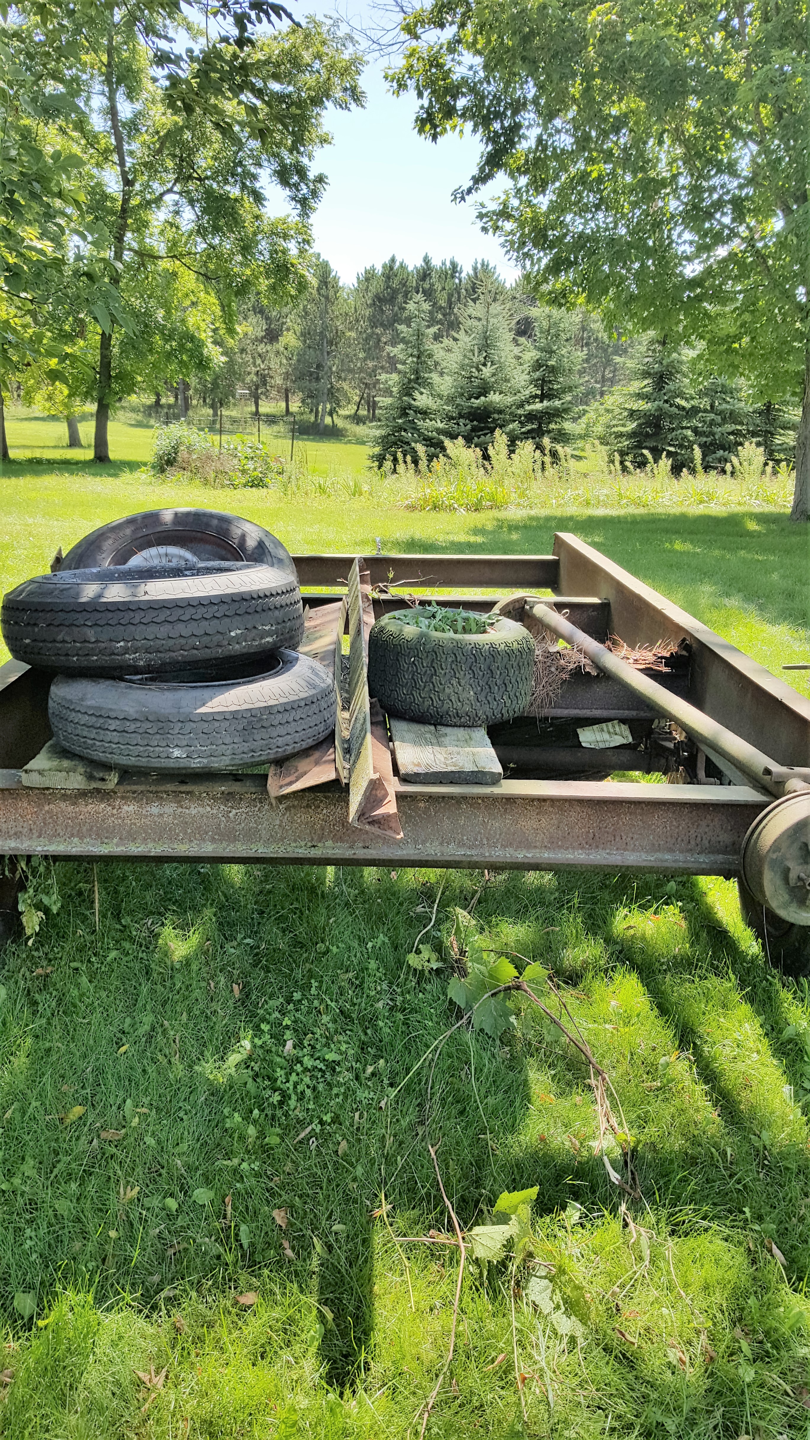 lot 23 image: Farm Trailer (no bed)  extra tires included (Metal Frame)  98 total width 80 wide frame X 12 12 Long 3 axle  Ball hitch 2