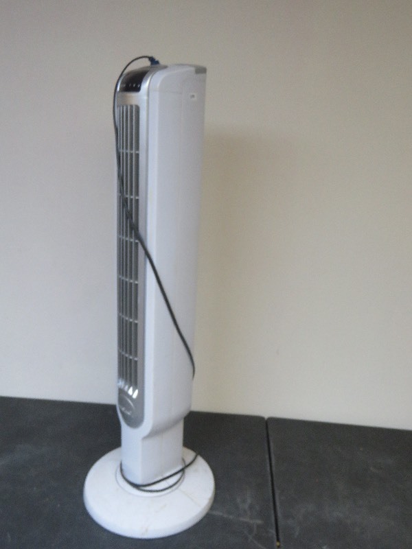 Fan