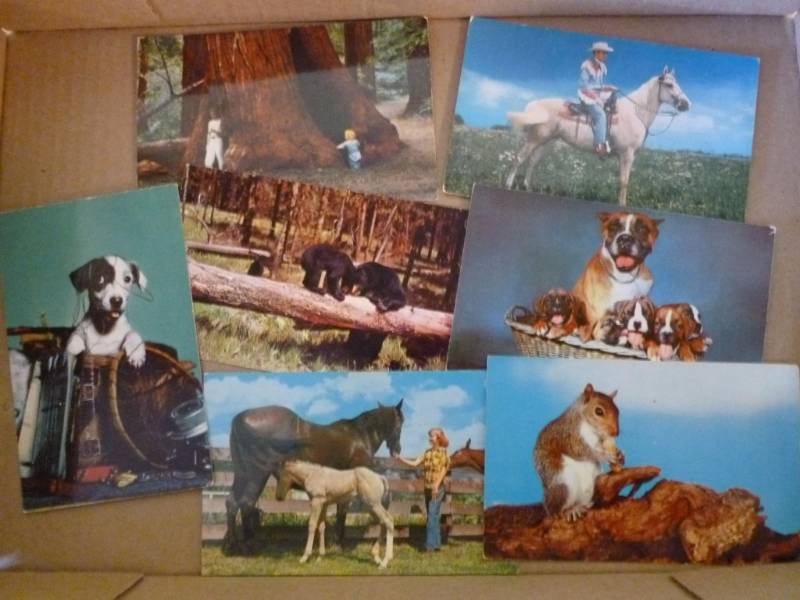 lot 271 image: Vintage Postcards