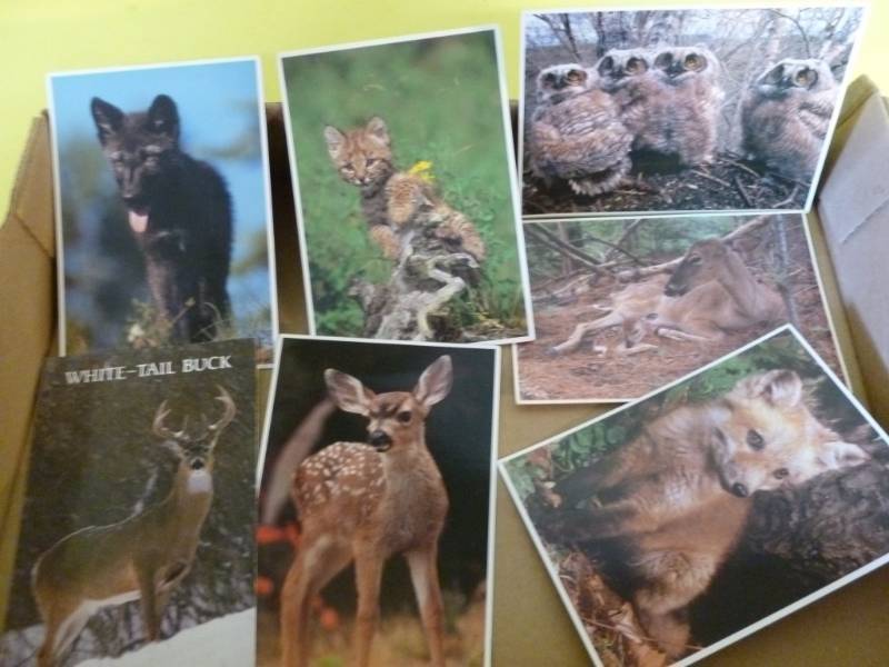 lot 275 image: Postcards