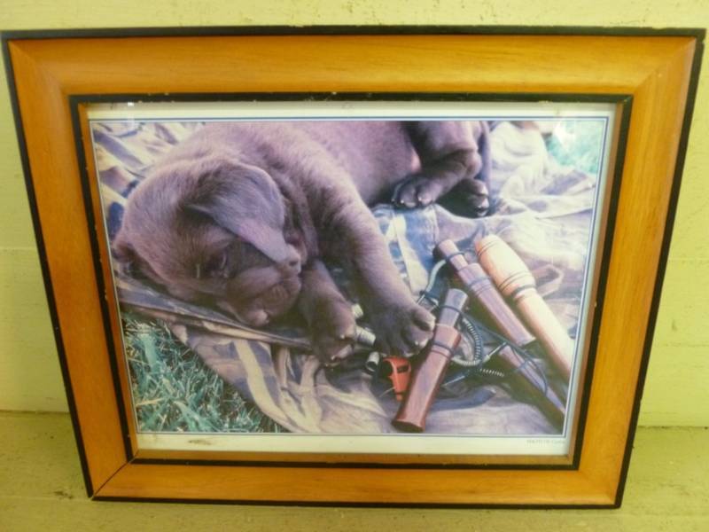 lot 342 image: Picture