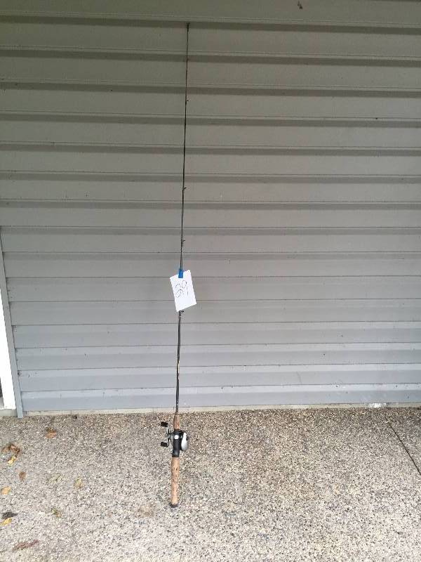 lot 29 image: BERKLEY ROD AND REEL