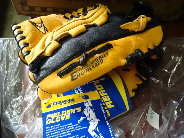 Glove