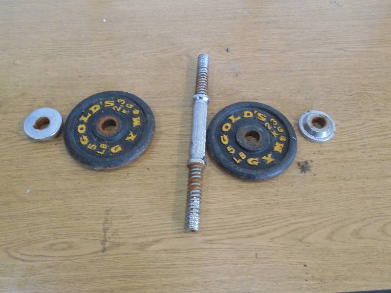 lot 18 image: GOLDS GYM 10LB WEIGHT BAR