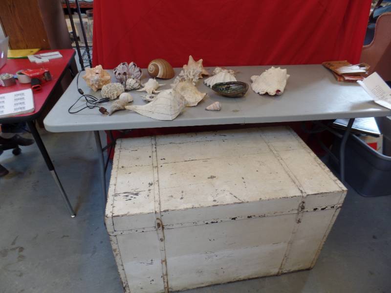 Immigrant Trunk and Sea Shells