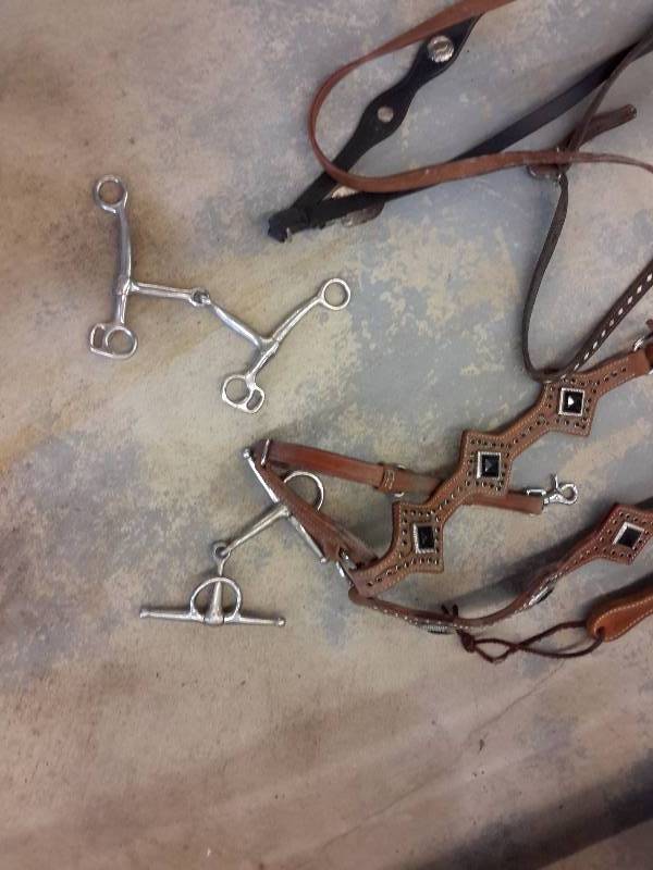 lot 20A image: Misc. Halters, Bridles and hardware as shown