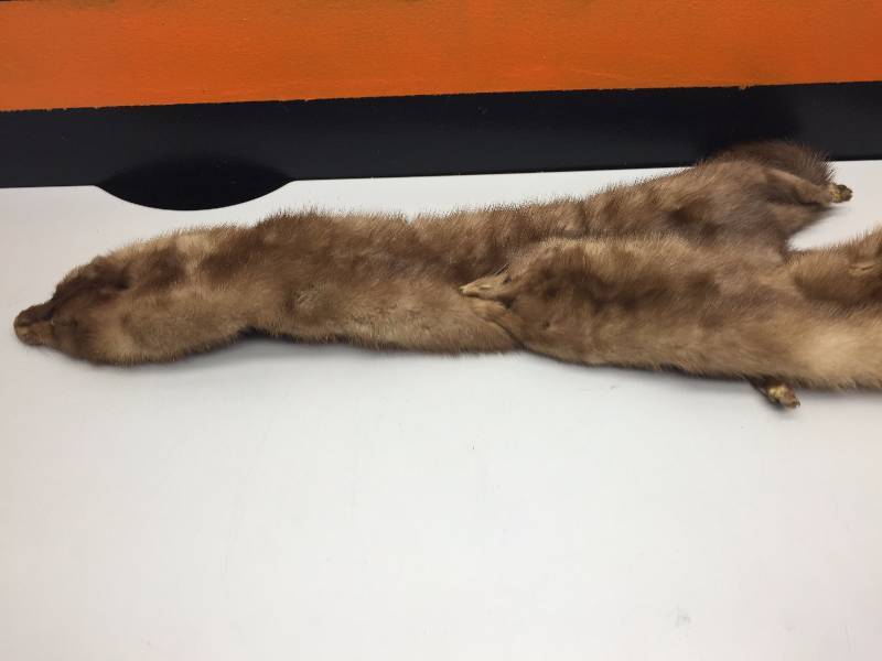 lot 15 image: 3 MINK SCARF