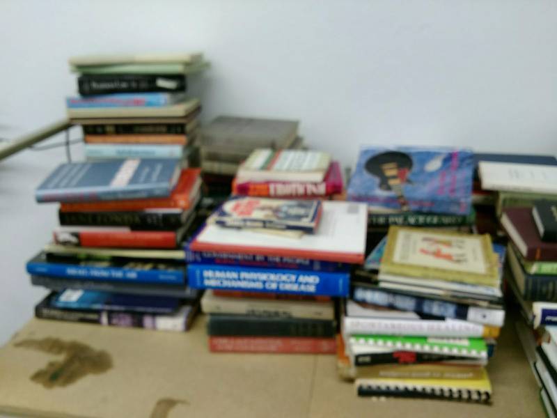 Large Book Lot
