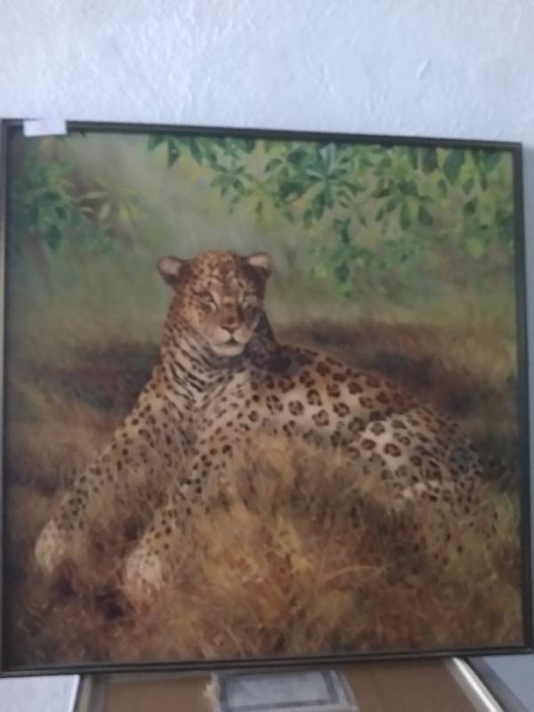Leopard by DeKay