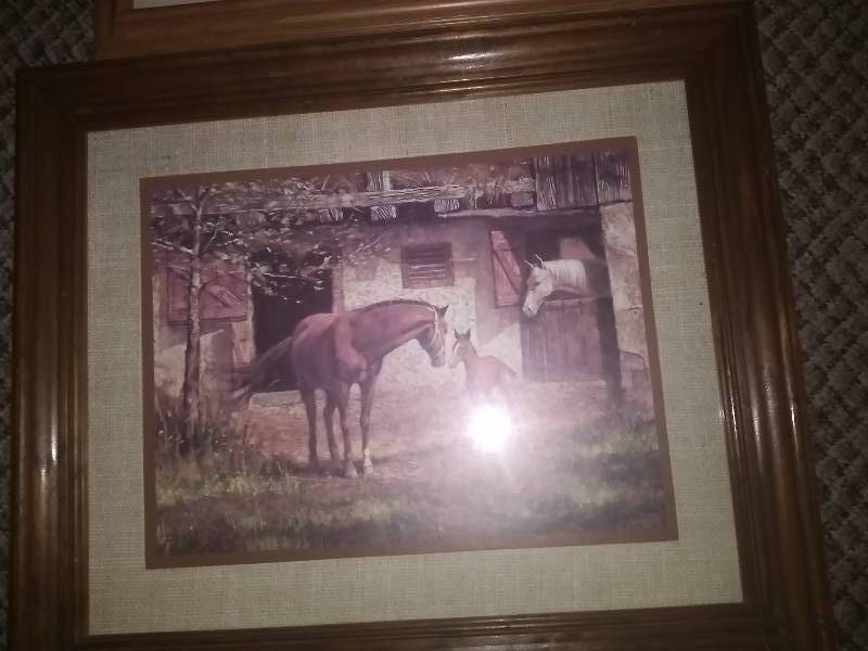 Cow and Horse Prints