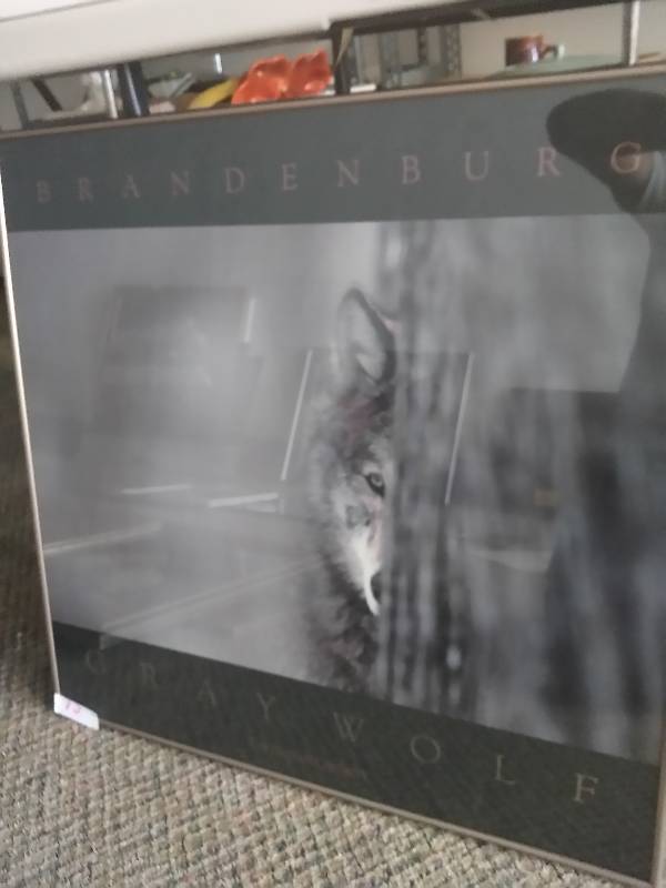 Wildlife Prints and Pictures
