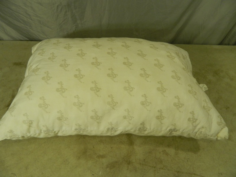 lot 91 image: My Pillow