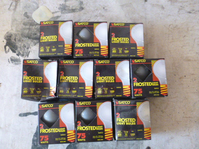 lot 42 image: Frosted Light Bulbs