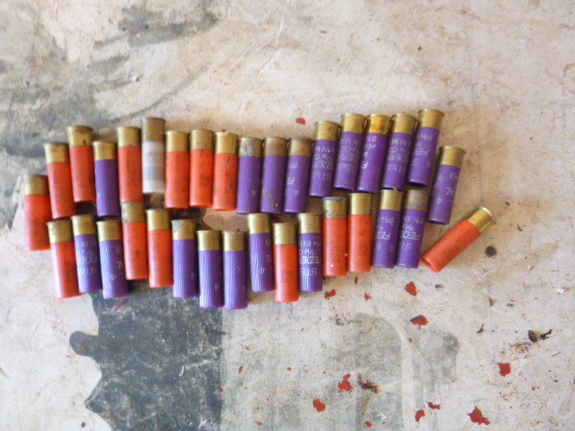 lot 179 image: 34 Miscellaneous Shotgun Shells