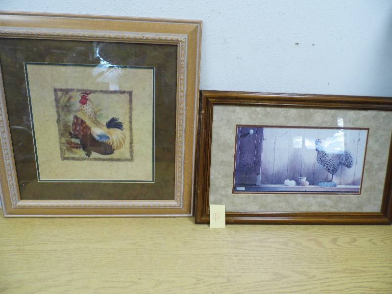 Chicken  Rooster Pictures
