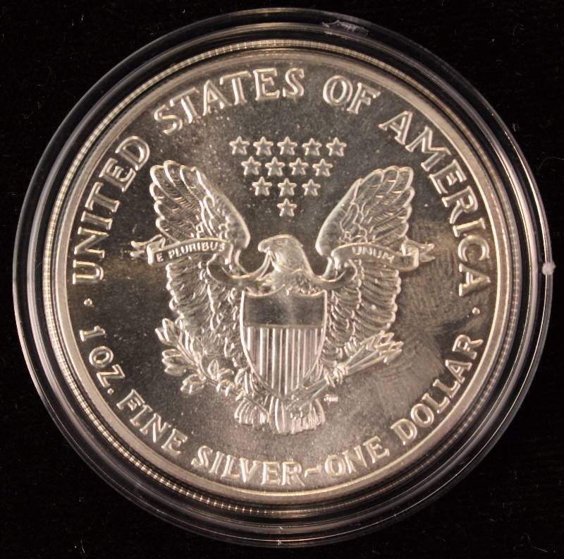 1989 AMERICAN SILVER EAGLE 1 TROY Oz. .999 FINE SILVER DOLLAR IN AIRTITE HOLDER