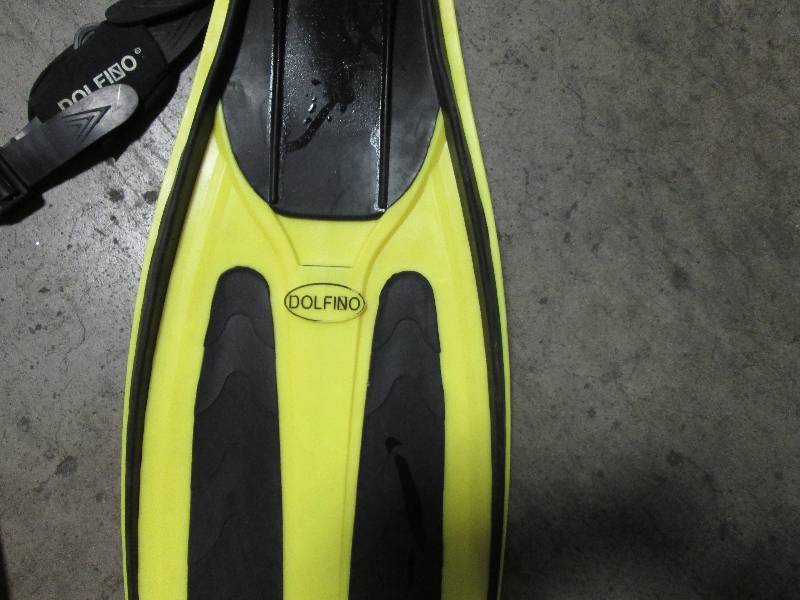 Flippers