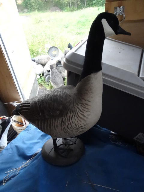 Goose Decoys