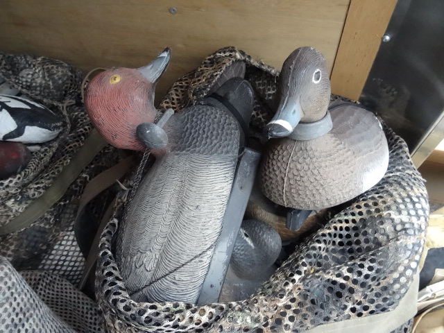 Duck Decoys