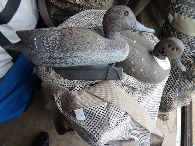 Duck Decoys