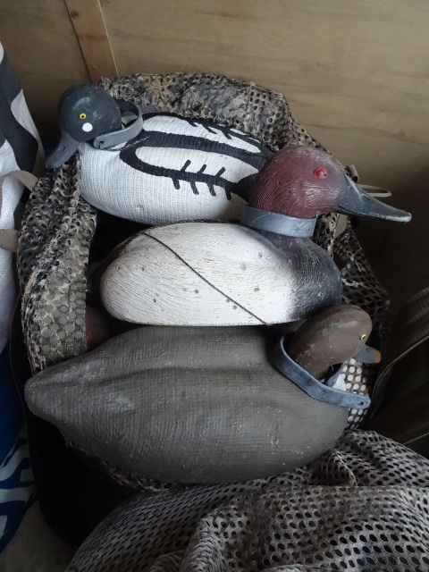 Duck Decoys