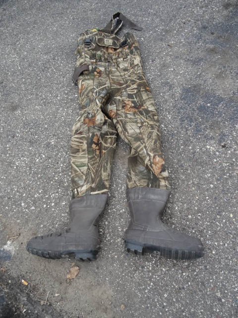 Waders