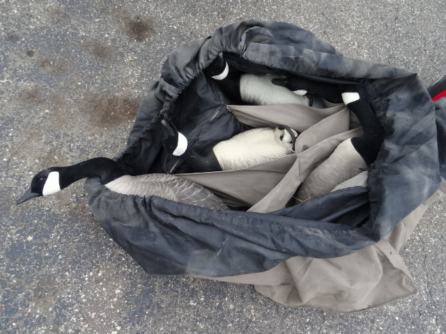 Goose Decoys