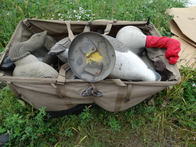 Goose Decoys