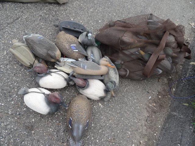Duck Decoys