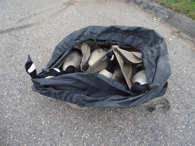 Goose Decoys