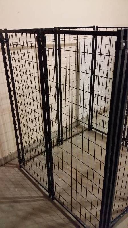 lot 63A image: Lucky Dog (used) 4x4 Dog Kennel - See Description and Pictures.