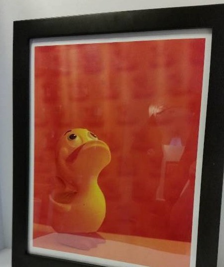 lot 76 image: Happy Little Duckie 16 x 20 Framed Photographic Print - 16 x 20 by Steven N. Meyers