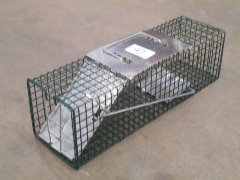 New Small-Sized Catch & Release Liv...
