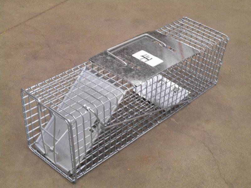 New Small-Sized Catch & Release Liv...