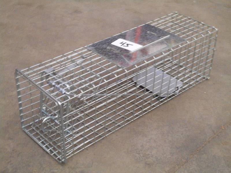 New Small-Sized Catch & Release Liv...