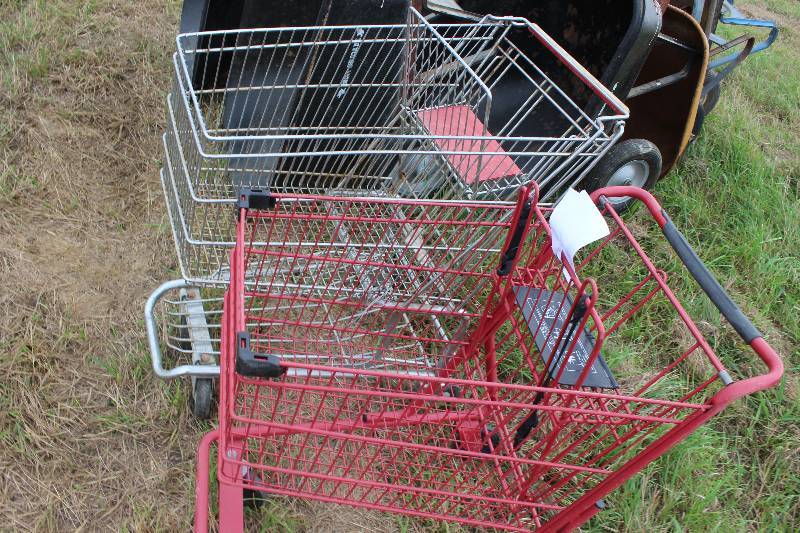 lot 192 image: Lot of (2) Shopping Carts