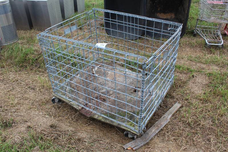 lot 191 image: Steel Mesh Gaylord