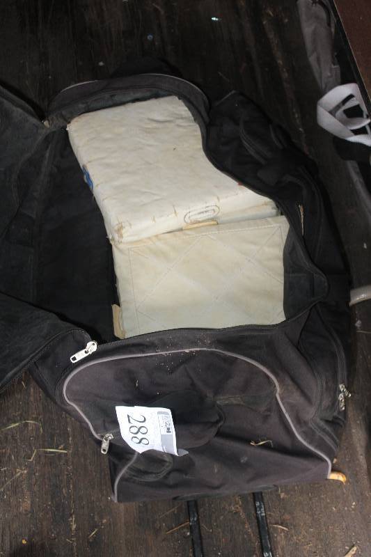lot 288 image: Lot of Baseball Plates & Bag