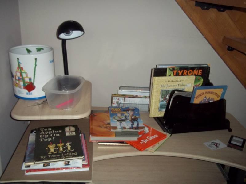 Lot of Kids Books