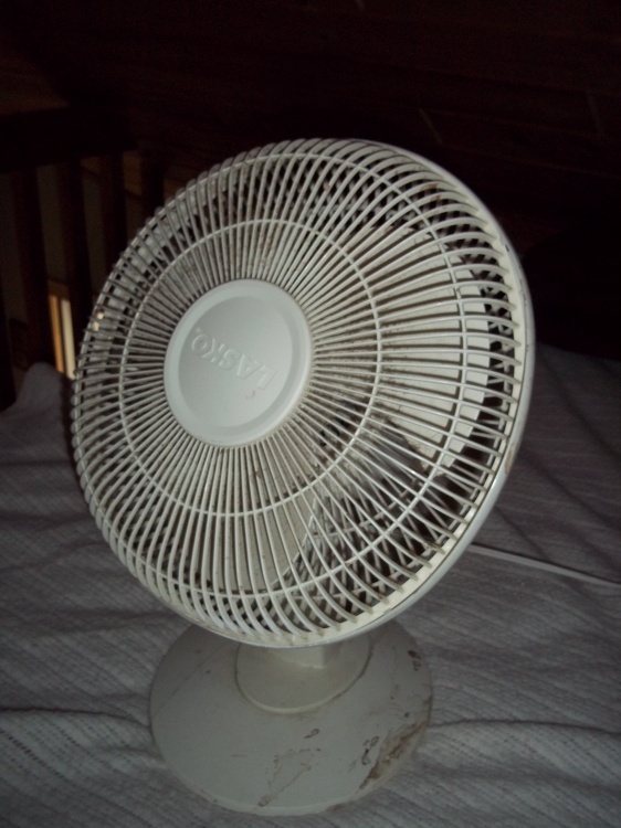 Fan