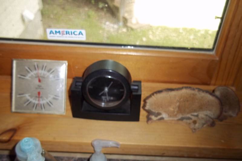 Clocks and mushroom