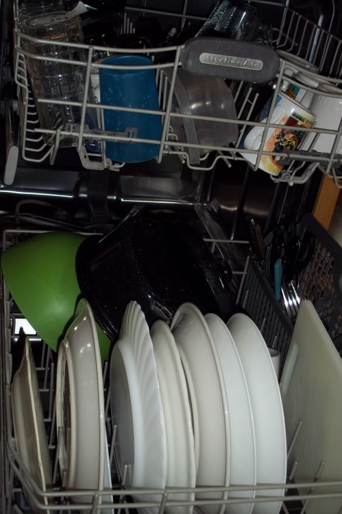 Dish washer full of dishes does not include dishwasher