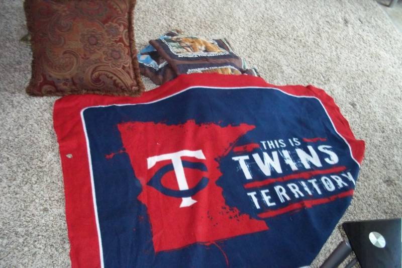 Throw pillows with Twins blanket