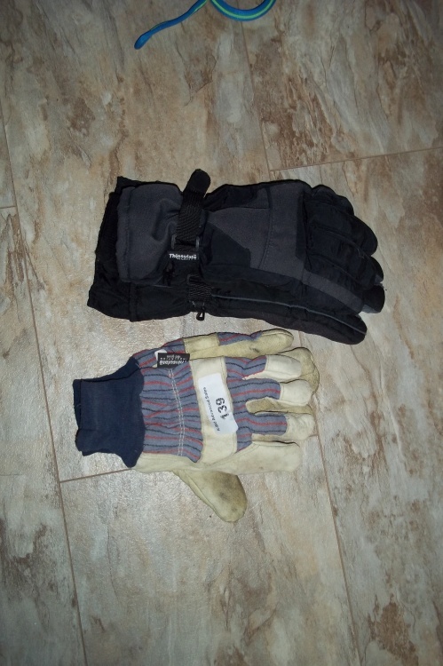 2 pair of Gloves