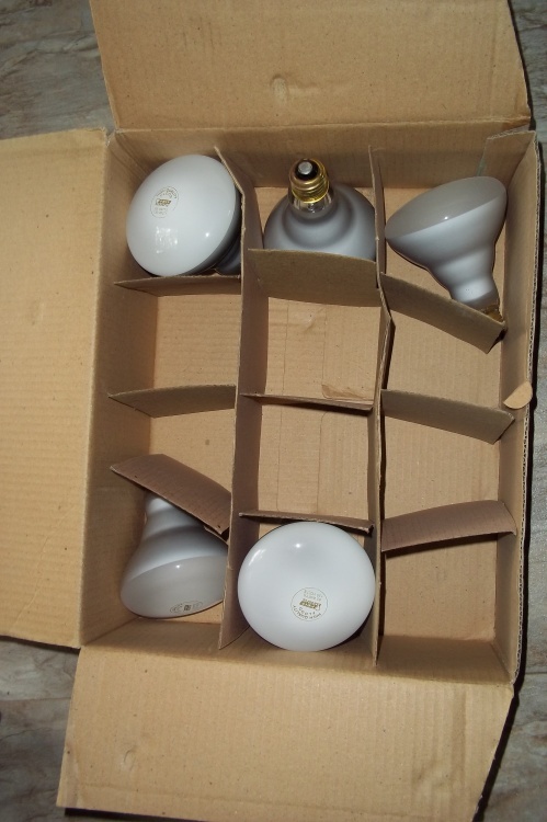 New Light bulbs